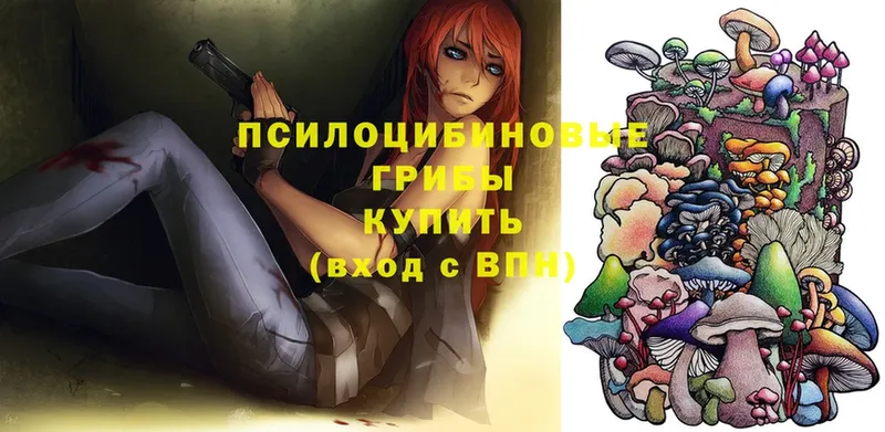 blacksprut вход  Каменск-Уральский  Галлюциногенные грибы Magic Shrooms 